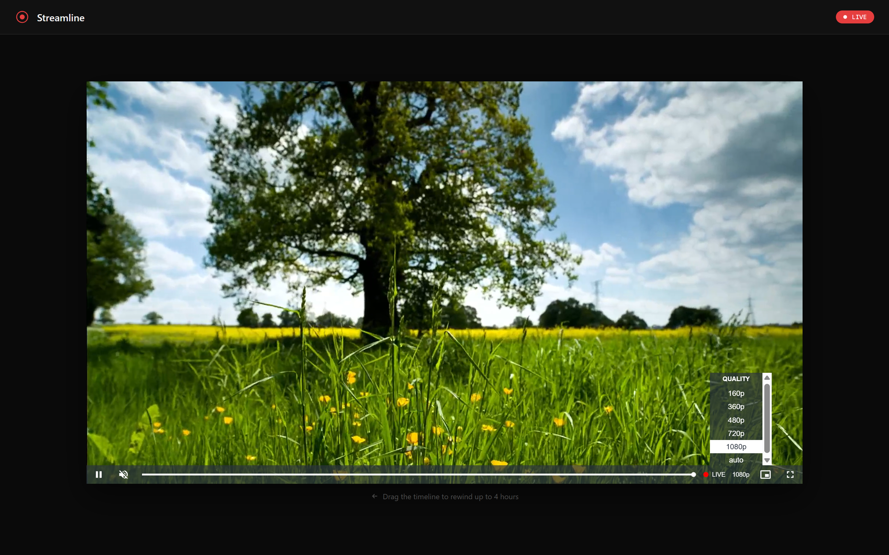 Streamline player with video quality selector